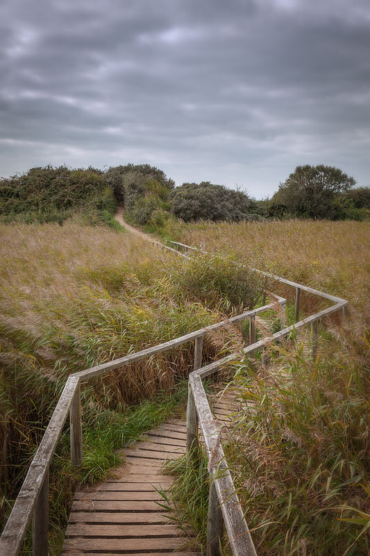 Berrow Marsh Walkway in Autumn