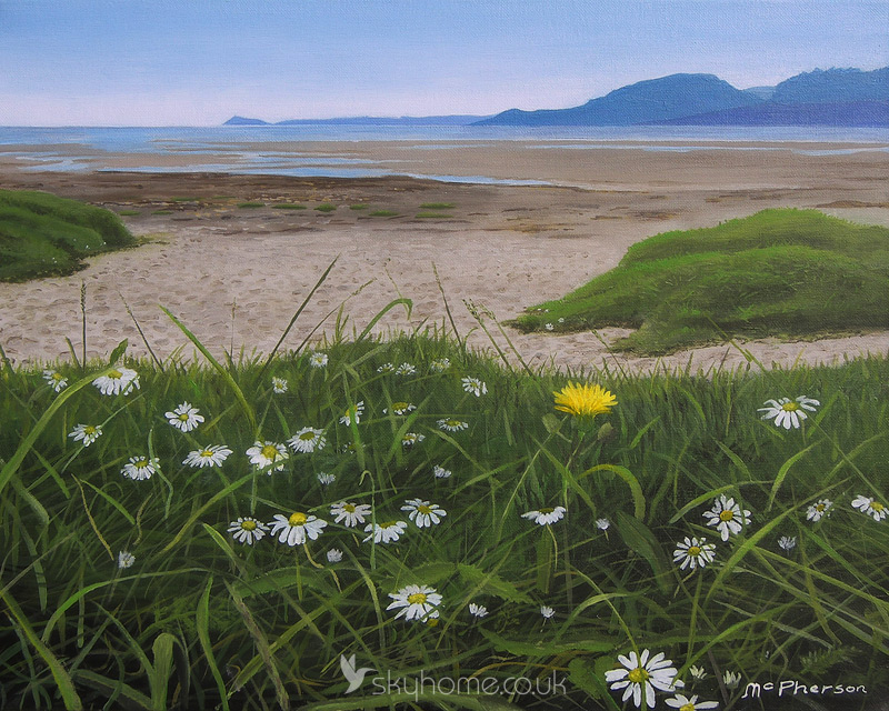 Scalpsie Bay Daisies on the Isle of Bute