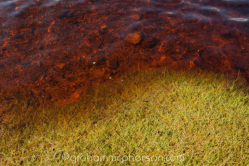 Green grass - Red Sea at Ord