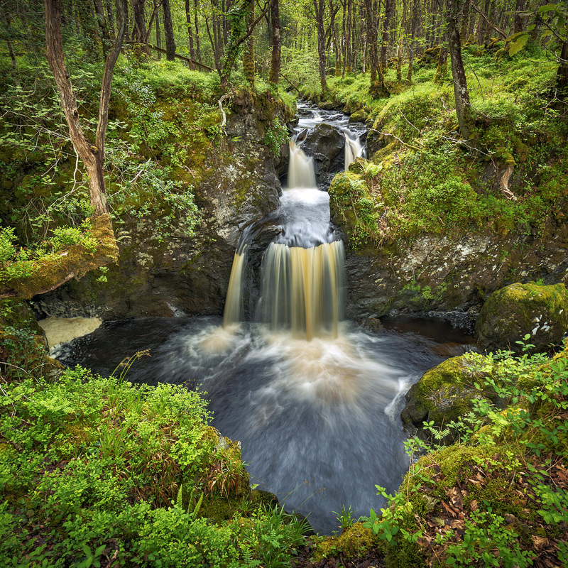 Waterfall in the Wood of Cree Image by Graham McPherson