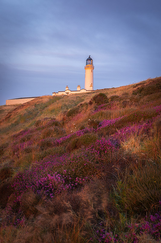 Dawn Heather Lighthouse